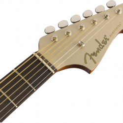 fender-newporter-player-champagne-2-1637849124.png