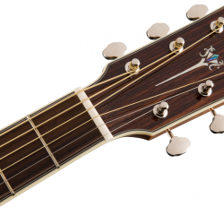 fender-pm-1-5-1636097407.png